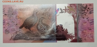 Полимер гознак. Рысь.  29.12.19 21.00 - IMG_20191224_073119