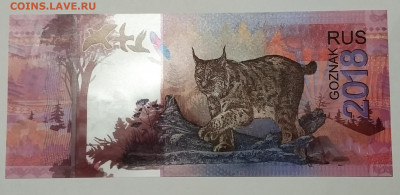 Полимер гознак. Рысь.  29.12.19 21.00 - IMG_20191224_073106