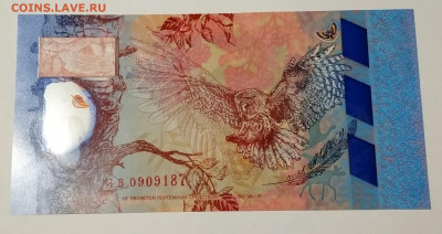 Полимер гознак. Лось-сова 29.12.19 21.00 - IMG_20191224_081211