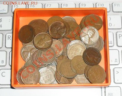 Продам 50шт одноцентовых монет США, в банковском ролле, медь - SDC10064.JPG