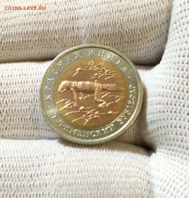 50 рублей Красная Книга 1993 г. Туркменский Эублефар - IMG_20191023_202630_HDR