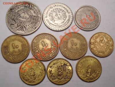 Египет оценить - DSC09811.JPG