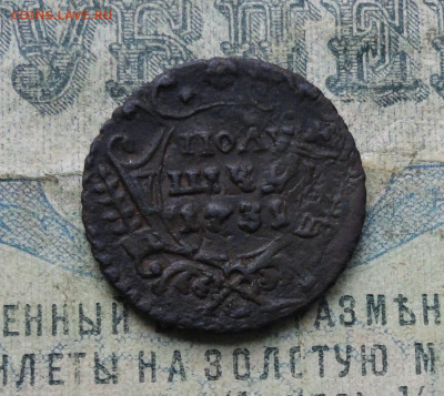 Полушка 1731 года перечекан. До 30.12.19. - DSC06323.JPG
