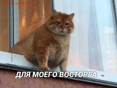 делает - прямо сейчас !!! - mFBCy_guwWI