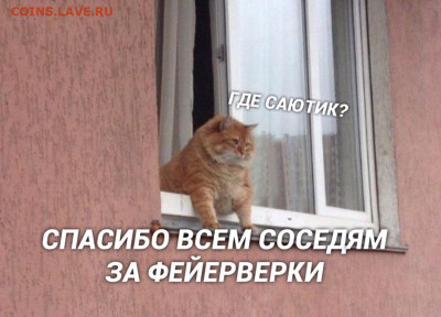 делает - прямо сейчас !!! - oxeVZWo7zC4
