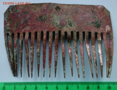 Гребешок до 31-12-2019 - DSC01711_новый размер.JPG