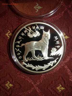 3 руб. Сохраним наш мир Рысь, 1995 до 02.01 - W6hCTqqFRP8