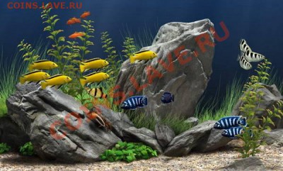 И ОПЯТЬ УГАДАЙКА 6.08.11 - LOGO_Afrika_2