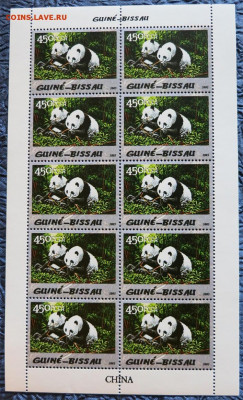 Фауна-Панды-лист 04-01-2020 21-30 - Panda01
