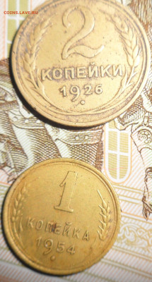 Находки сегодня - SAM_0923.JPG