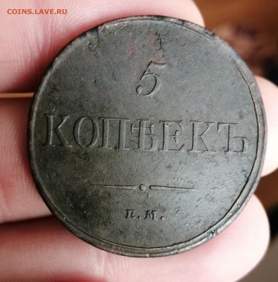 5 копеек 1831г ем фх. Предпродажная оценка. - IMG_20191230_112548