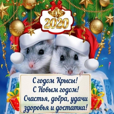 С Наступающим Новым Годом !!! - 2020