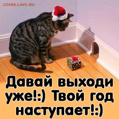 С Наступающим Новым Годом !!! - IMG-20191231-WA0002