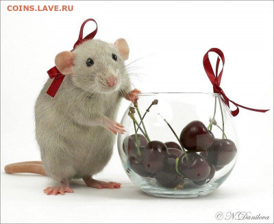 С Наступающим Новым Годом !!! - 100_2607 копия1_edorig