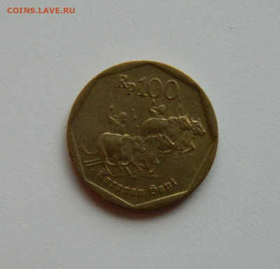 Индонезия 100 рупий 1996 г. (Гонки на быках). до 06.01.20 - DSCN9897.JPG