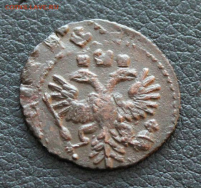 полушка 1734. Двойной удар. 6 корон без крестов. До 4.01.20. - IMG_2386.JPG