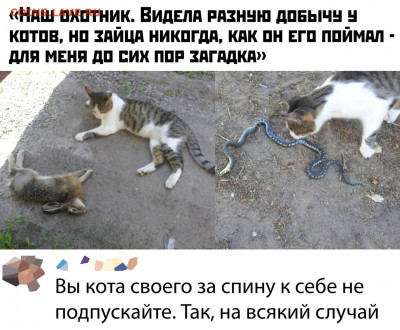 юмор - P-9OQPrmAhc