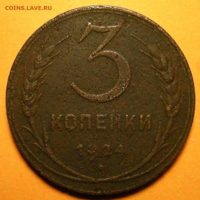 3 копейки 1924 ( 6 стеблей ) бюджетная -- до 9.01.20. - DSCN6564.JPG