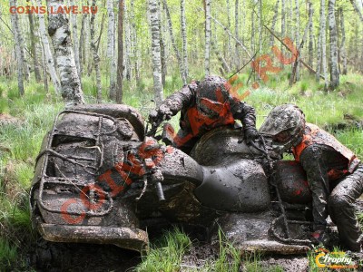 Выбираем автомобили :) - 7930339874d0e8bf69deee