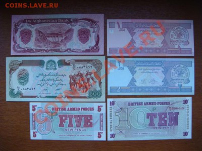 шт. (пополняемая) - DSC03610.JPG