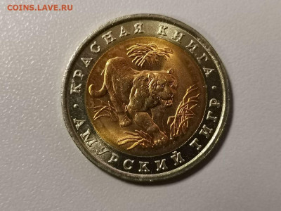 10р 1992г. Амурский тигр(мешок), до 08.01 - СЧ Тигр мешок-1