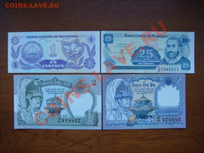 шт. (пополняемая) - DSC03621.JPG