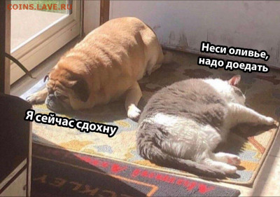 делает - прямо сейчас !!! - GexWzDzoWYM