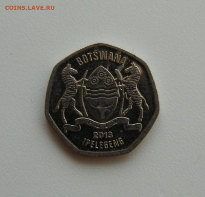 Ботсвана 25 тхебе 2013 г. (Фауна). до 09.01.20 - DSCN0031.JPG