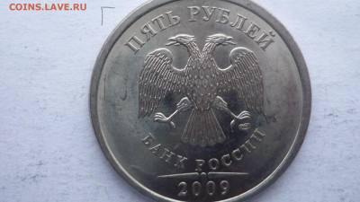 5р2009гспмд магн.  определение разновидностей - Г.. 