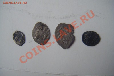 Чешуйки на оценку и определение. - DSCF1909.JPG