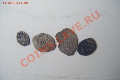 Чешуйки на оценку и определение. - DSCF1913.JPG
