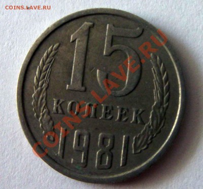 15 мохнатая - 15081