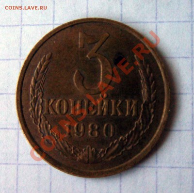 15 мохнатая - 3-к-80-1