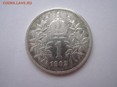 1 корона Ав-Венгрия 1902   до 08.01.20 - IMG_7573.JPG