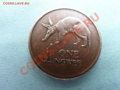 ЗАМБИЯ 1ngwee 1968г. ТРУБКОЗУБ до 16.08.11 в 22-00 - MEMO0018.JPG