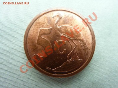 ЮЖНАЯ АФРИКА 5с ГОЛУБАЯ ЦАПЛЯ  до 16.08.11 в 22-00 - MEMO0019.JPG