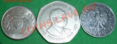 помогите оценить - 3-P