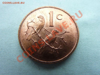 ЮЖНАЯ АФРИКА 1с 1971г. ПТИЧКИ в блеске до 16.08.11 в 22-00 - MEMO0023.JPG