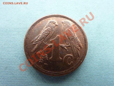 ЮЖНАЯ АФРИКА 1с 1991г. ВОРОБЬИ  до 16.08.11 в 22-00 - MEMO0029.JPG
