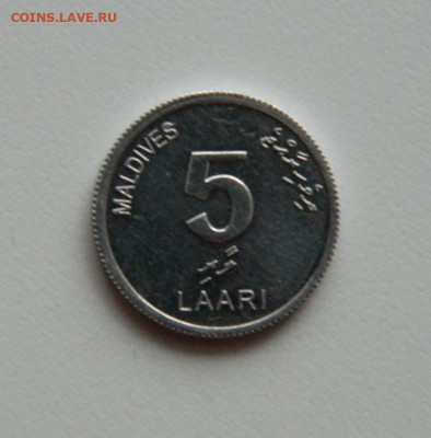Мальдивы 5 лари 2012 г.(Фауна)без обращения до 09.01.20 - DSCN9915.JPG