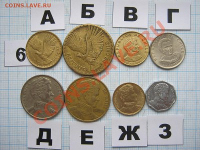 ЭКЗОТИКА-2. МНОГО ВСЯКОЙ РАЗНОЙ!!! ПОСТОЯННОЕ ПОПОЛНЕНИЕ!!! - 6-2.JPG