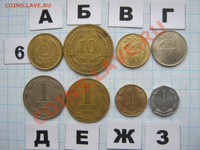 ЭКЗОТИКА-2. МНОГО ВСЯКОЙ РАЗНОЙ!!! ПОСТОЯННОЕ ПОПОЛНЕНИЕ!!! - 6-1.JPG