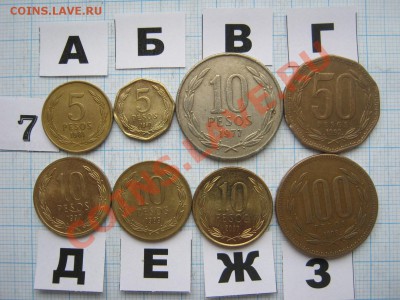 ЭКЗОТИКА-2. МНОГО ВСЯКОЙ РАЗНОЙ!!! ПОСТОЯННОЕ ПОПОЛНЕНИЕ!!! - 7-1.JPG