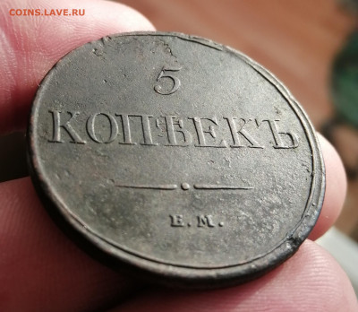5 копеек 1831г ем фх. Приятная монета. До 12.01.20 22.00 МСК - IMG_20191230_112624