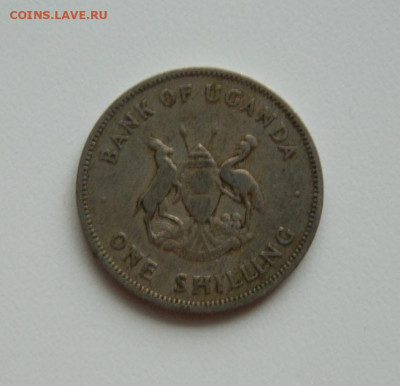Уганда 1 шиллинг 1966 г. (Фауна). до 14.01.20 - DSCN9948.JPG