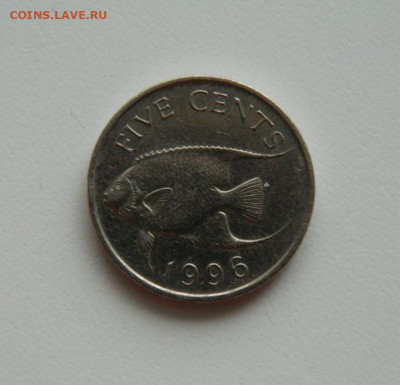 Бермудские острова 5 центов 1996 г. (Фауна). до 14.01.20 - DSCN9959.JPG