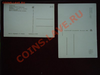 Много почтовых открыток 1968-1990 гг. прошу оценить - куклы1.JPG