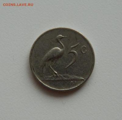 Южная Африка 5 центов 1965 г. (Фауна). до 15.01.20 - DSCN0014.JPG