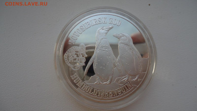 БРИТАНСКИЕ ВИРГИНЫ 1 ДОЛЛАР 2017 ПИНГВИН - DSC07813.JPG