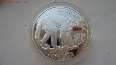 БРИТАНСКИЕ ВИРГИНЫ 1 ДОЛЛАР 2018 КАПУЦИН - DSC07807.JPG
